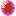 Multiviola